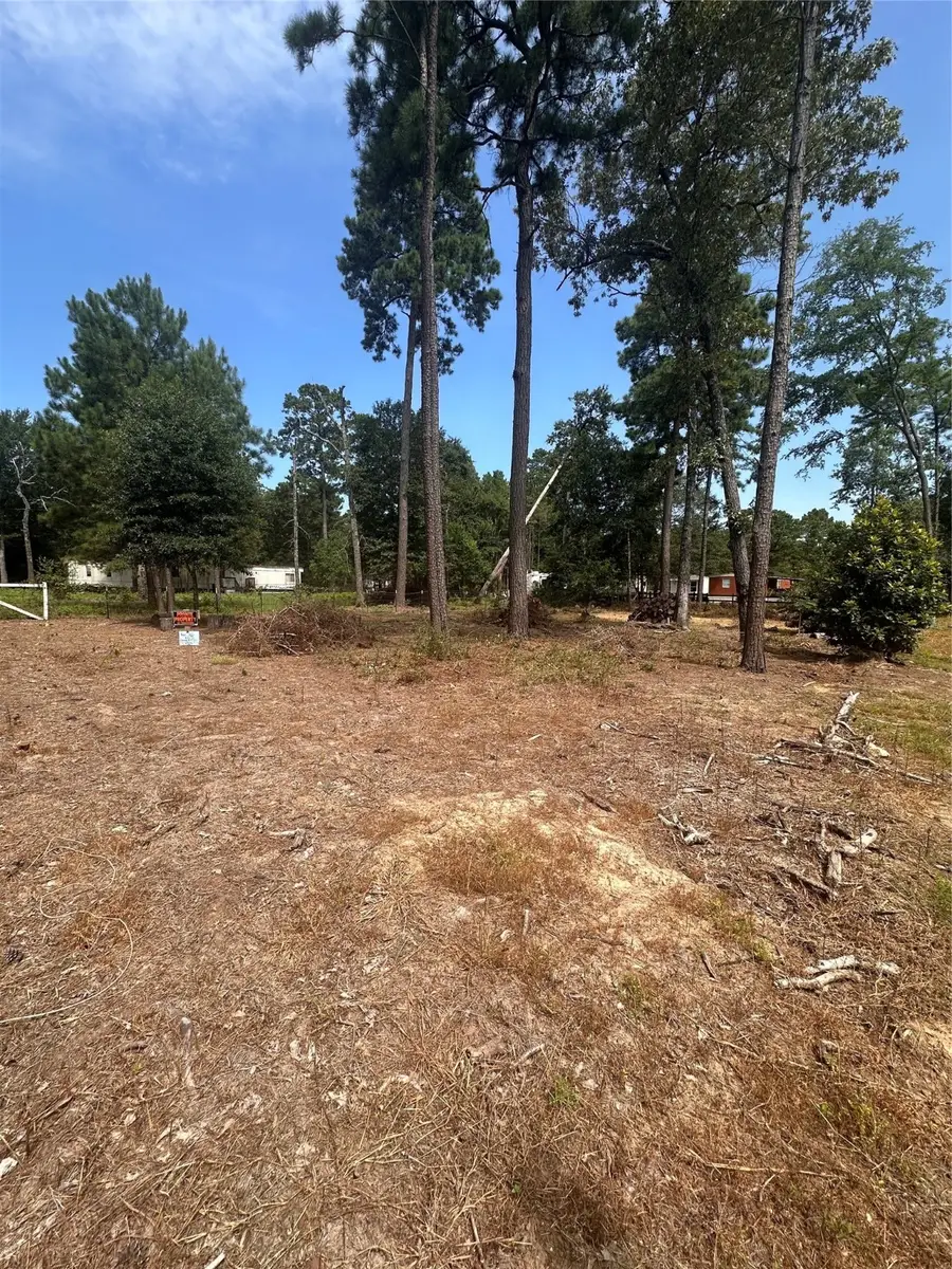 TBD Hoptree Lane, Plantersville, TX 77363 - Image #3