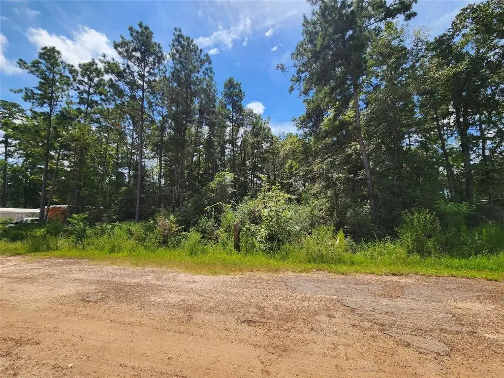 01 Hollybrook Drive, Plantersville, TX 77363 - Image #1