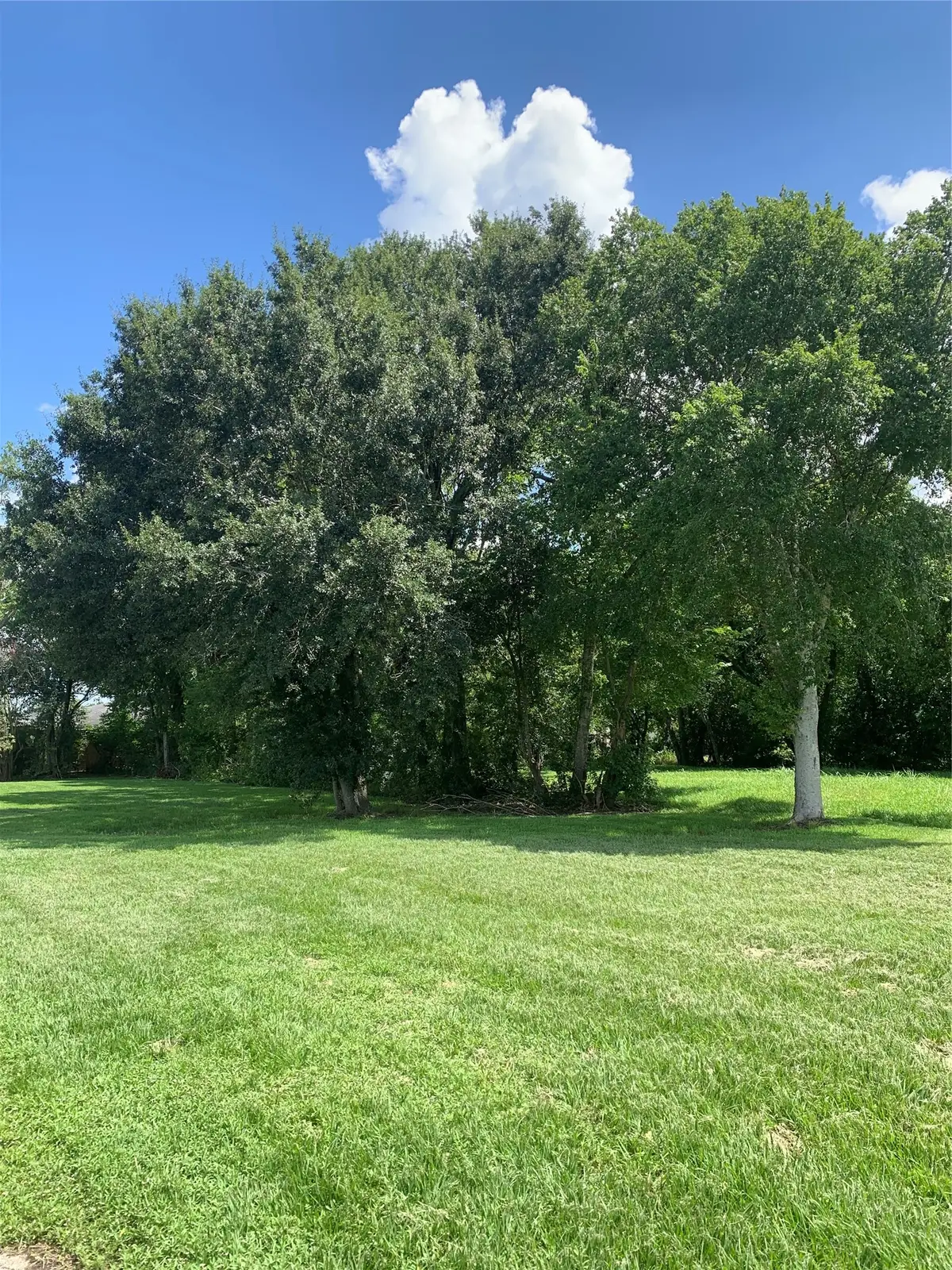 5003 Wilmington Street, Houston, TX 77033 - #1
