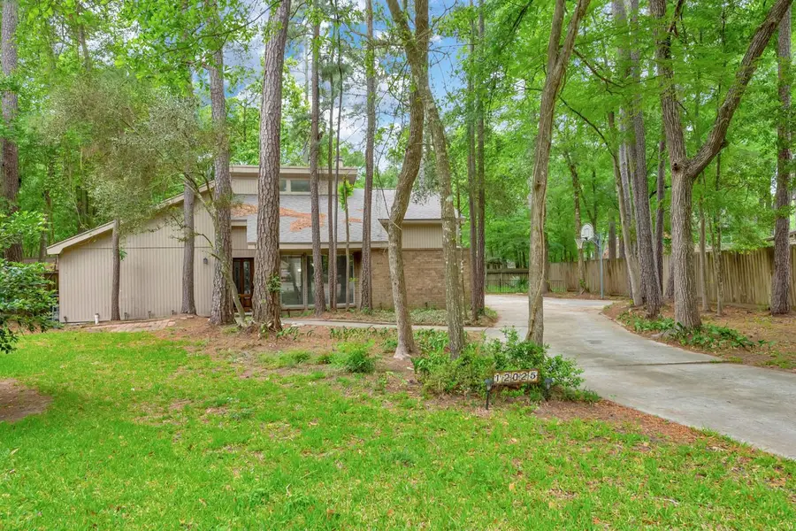 12025 Acorn Oak Street, The Woodlands, TX 77380 - #2