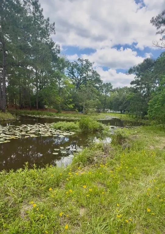 12126 Pin Oak Drive, Magnolia, TX 77354 - #3