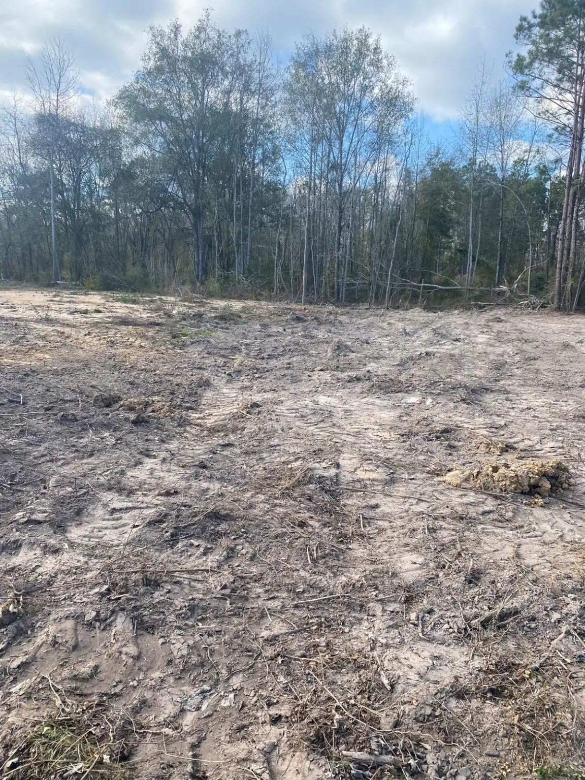 0 Railroad Avenue, Shepherd, TX 77371 - Image #1