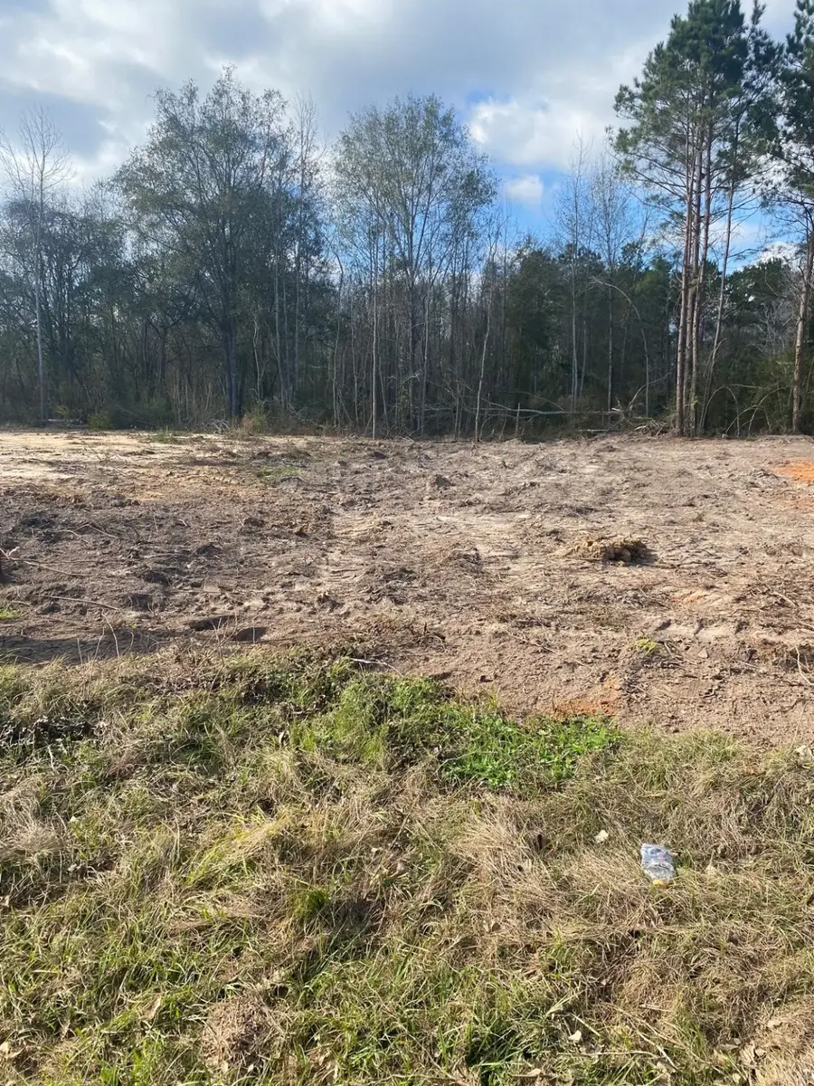 0 Railroad Avenue, Shepherd, TX 77371 - Image #3