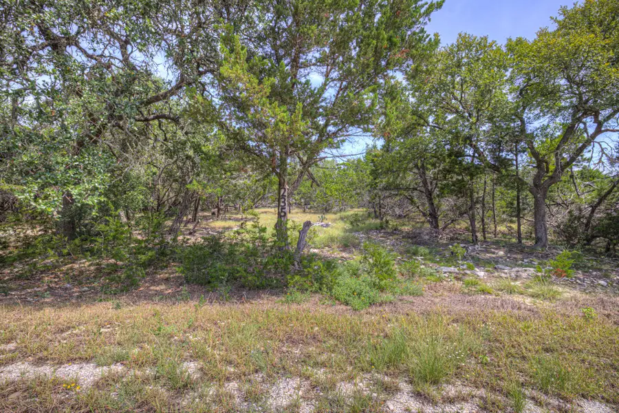 235 Flanders, Fischer, TX 78623 - #3