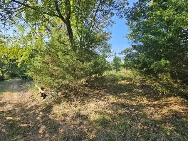 223 An County Road 4250, Palestine, TX 75803 - #1
