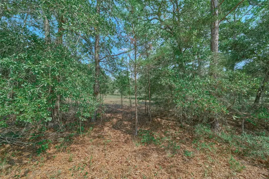 16039 Yaupon Berry, Plantersville, TX 77363 - #3