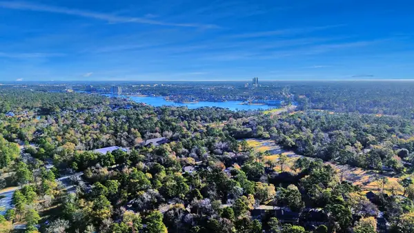 3500 Tangle Brush Drive #1, The Woodlands, TX 77381