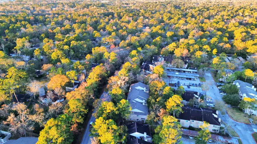 3500 Tangle Brush Drive #1, The Woodlands, TX 77381 - #2