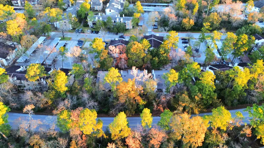 3500 Tangle Brush Drive #1, The Woodlands, TX 77381 - #3