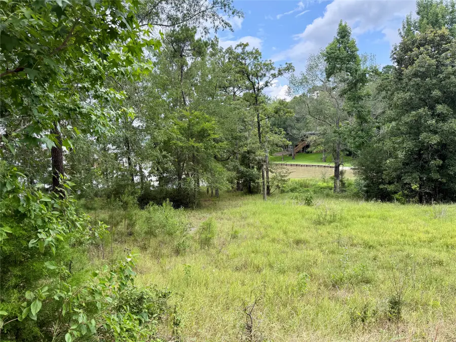 144 Lori Lane, Trinity, TX 75862 - #2
