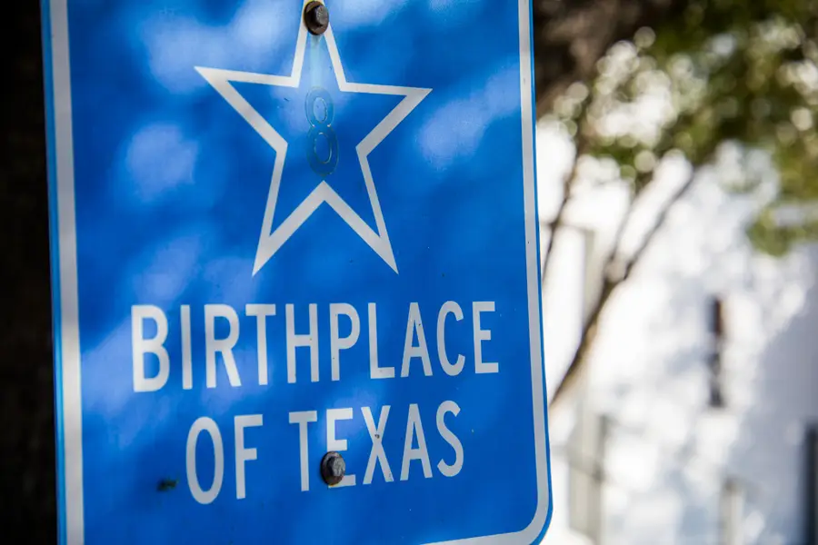 Lot 20 Sunny Meadow Drive, Chappell Hill, TX 77426 - Image #3