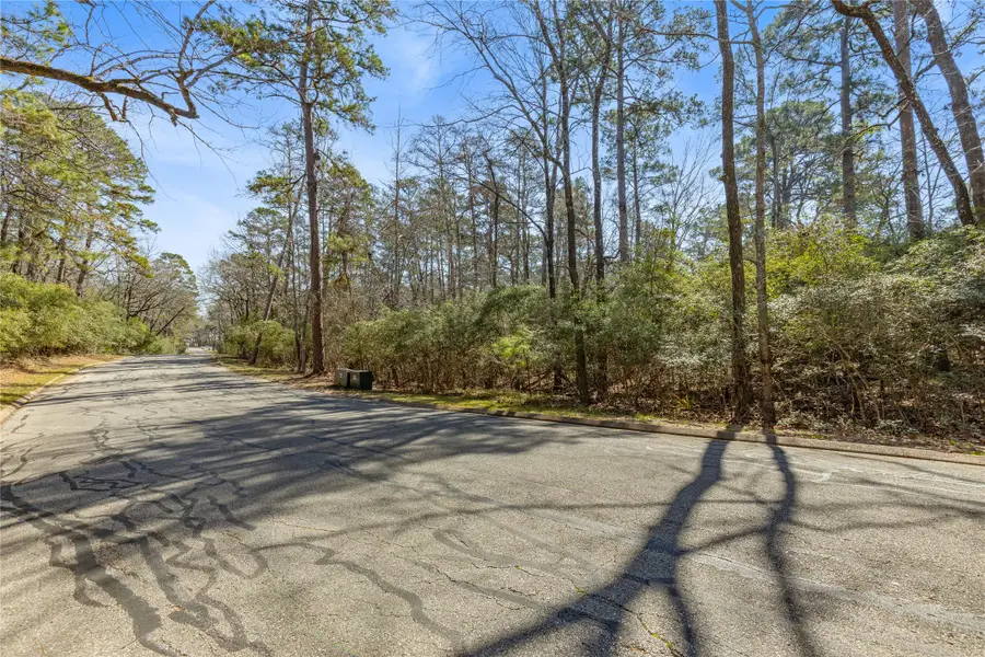 Lot 9 Bay Hill Road, Huntsville, TX 77320 - #3