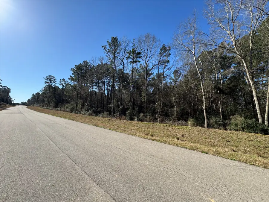 15-34-51 Alamo Drive, Huntsville, TX 77340 - #3