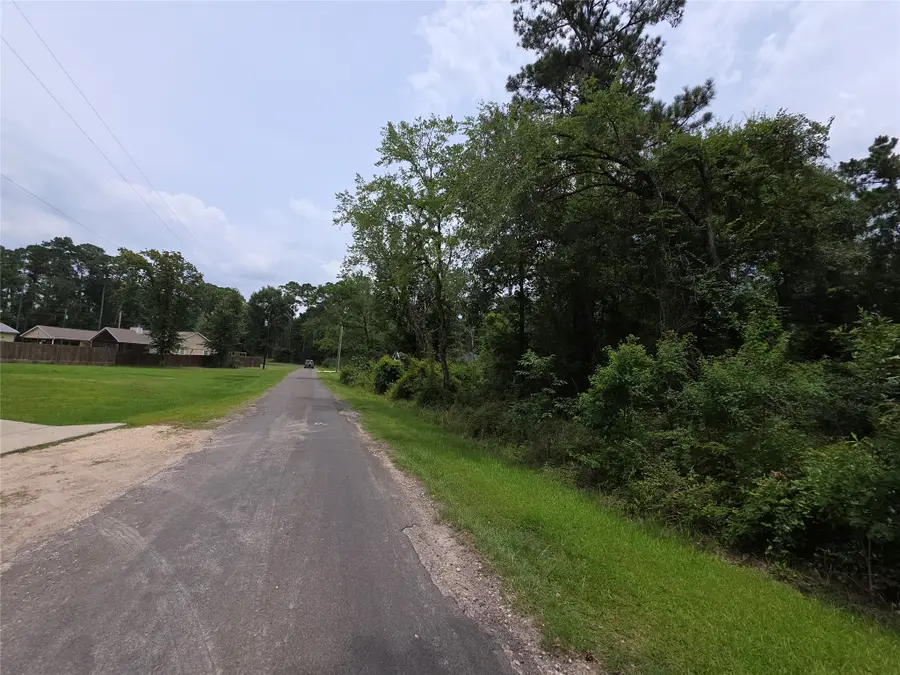 TBD E Cattle Drive, Onalaska, TX 77360 - #2