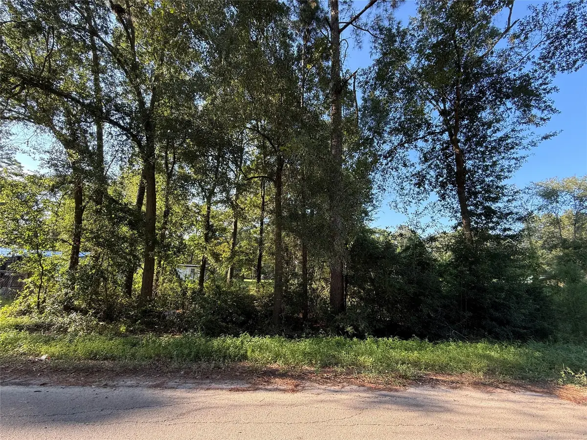 00 Spanish Oaks Dr, New Caney, TX 77357 - #1