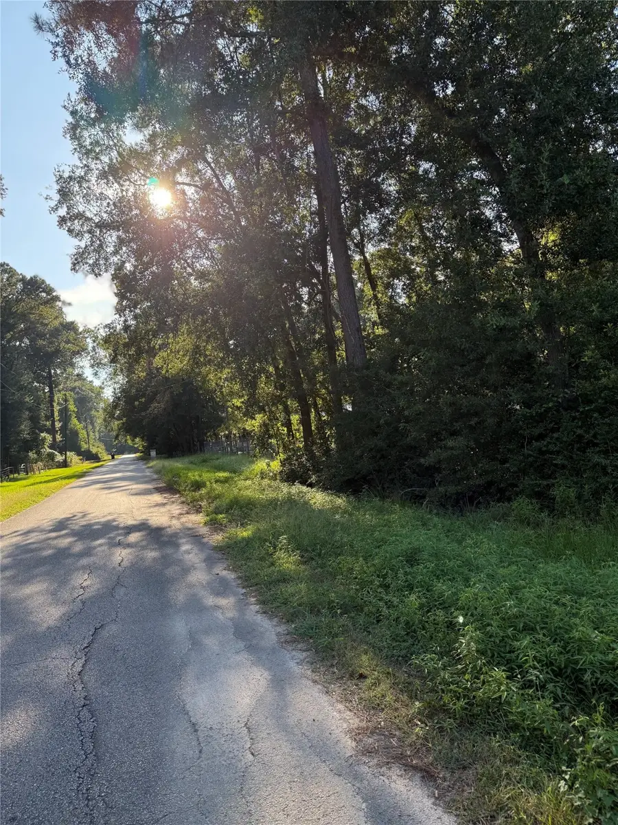 00 Spanish Oaks Dr, New Caney, TX 77357 - #2