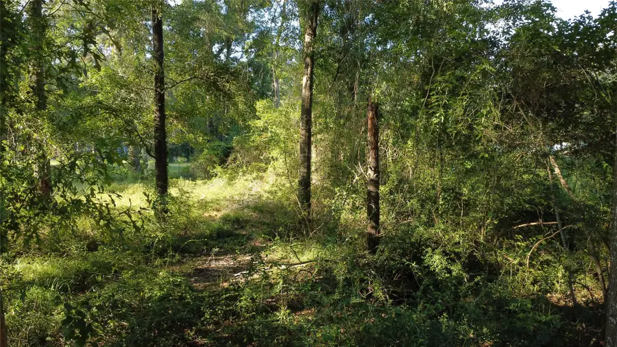 00 Spanish Oaks Dr, New Caney, TX 77357 - #3