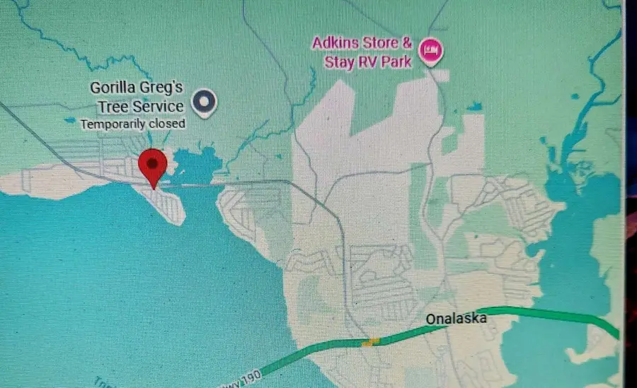 129 Lakeshore N, Onalaska, TX 77360 - #2