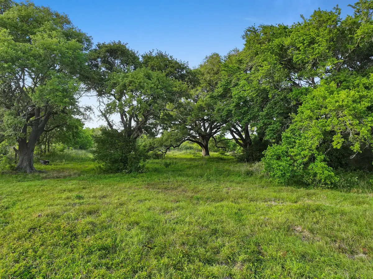 2187 Old Mexico Road, High Island, TX 77623 - #1