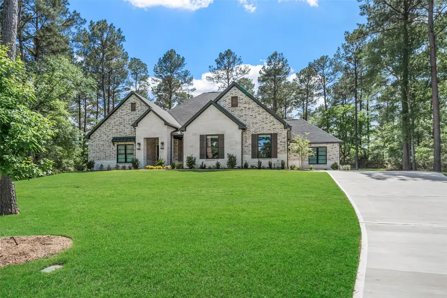 8680 Cedar Meadow Lane, Plantersville, TX 77363 - #3