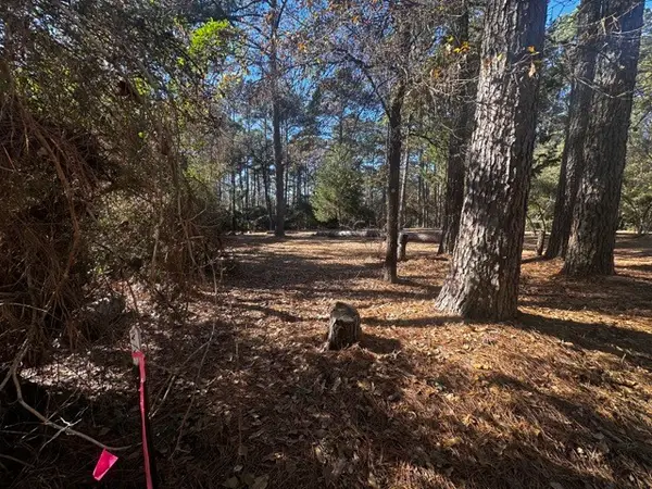 TBD Lot 41 Cherokee Ln, Waller, TX 77445