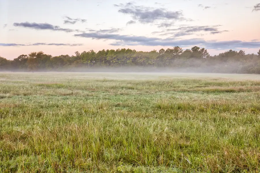 3896 Cr 305, Navasota, TX 77868 - Image #2