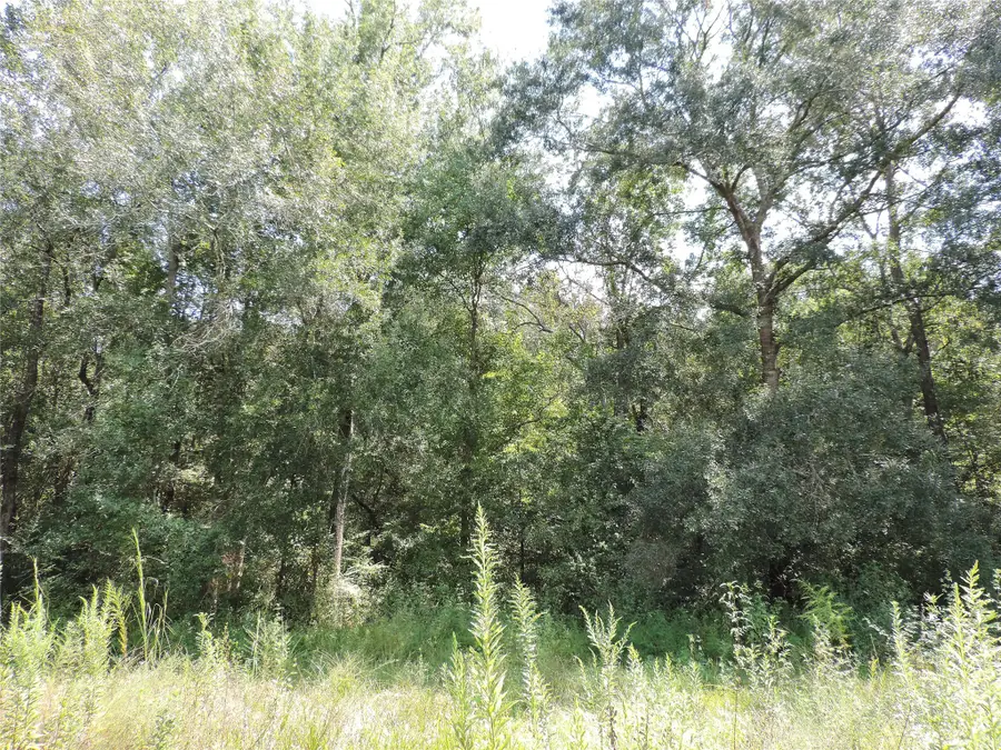 2014 Center Avenue, Cleveland, TX 77327 - #3