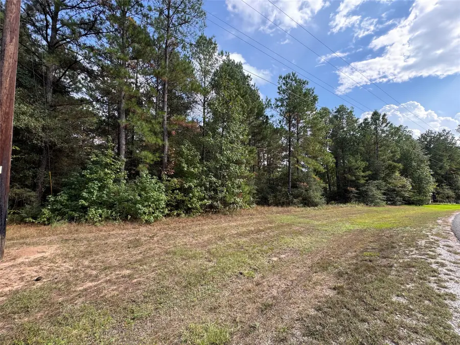 16-2-1 Grand View, Huntsville, TX 77340 - Image #2