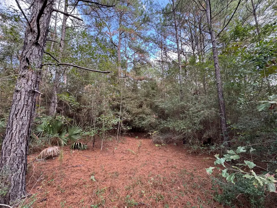 16-2-1 Grand View, Huntsville, TX 77340 - Image #3