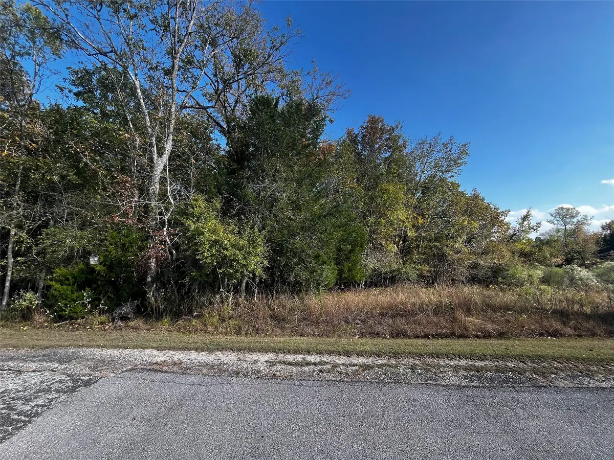 165 N Pine Harbour Drive, Coldspring, TX 77331 - Image #1