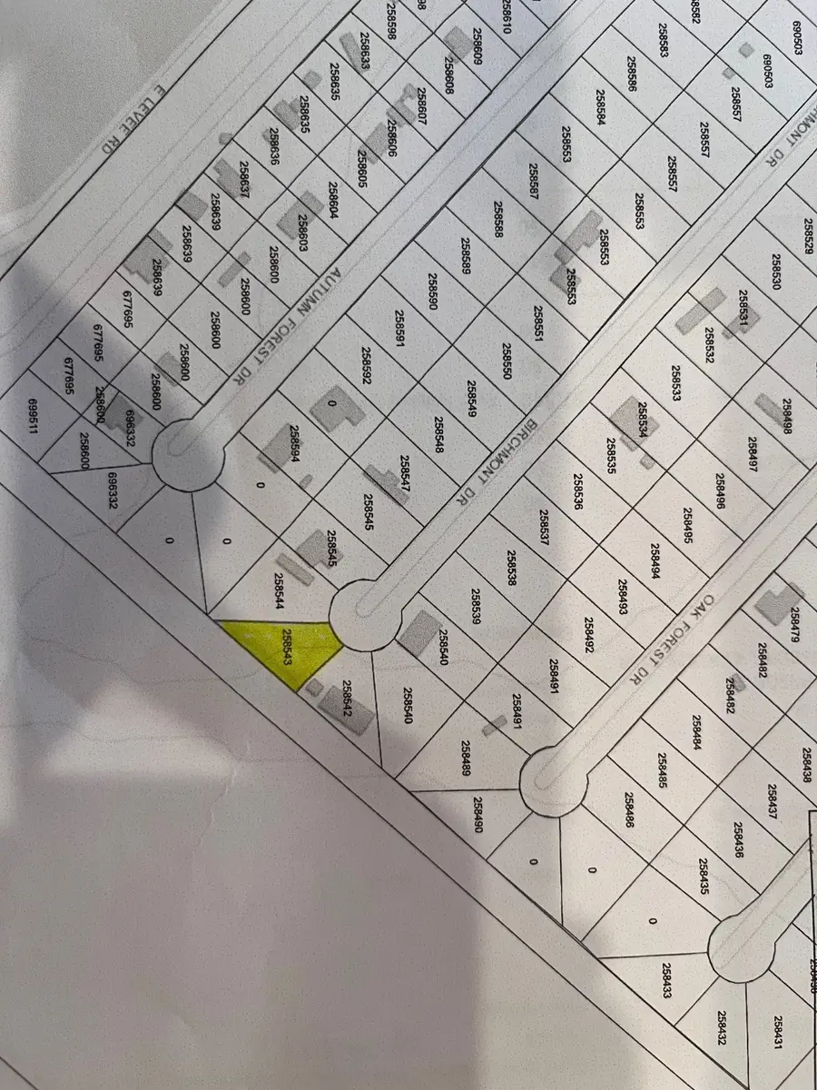 0 Birchmont Drive Drive, Guy, TX 77444 - Image #3