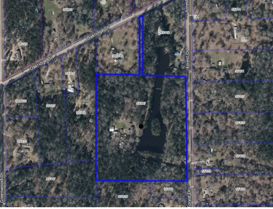 6185 Forest Drive, Cleveland, TX 77328 - #2