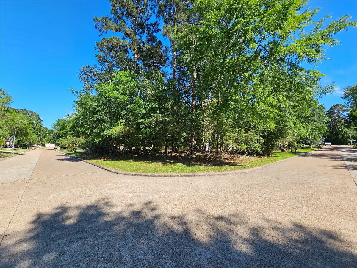 2846 Whitman Drive, Montgomery, TX 77356 - #1