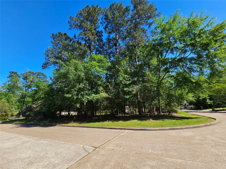 2846 Whitman Drive, Montgomery, TX 77356 - #3