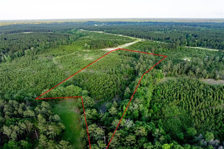 Tract 171 Calhoun Ct, Lovelady, TX 75851 - Image #2