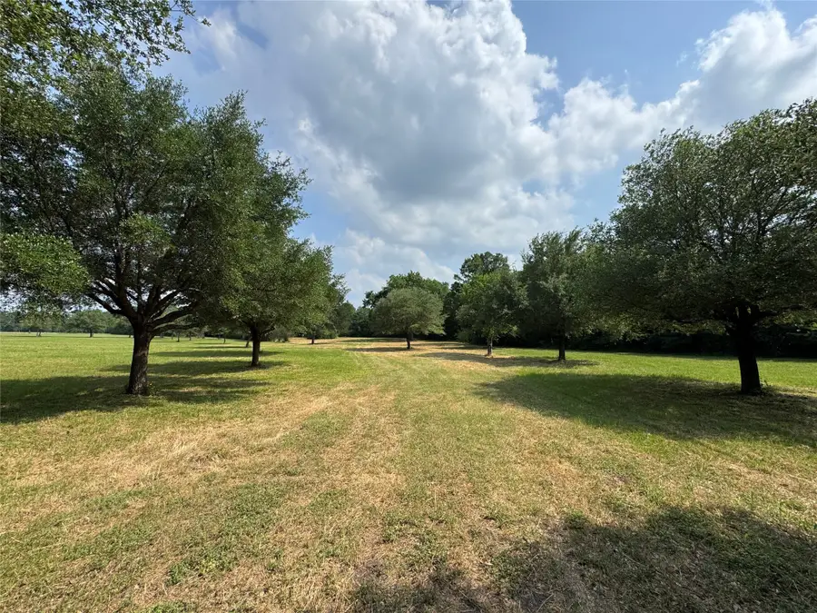 24077 Old Dobbin Plantersvil Road, Montgomery, TX 77316 - Image #3