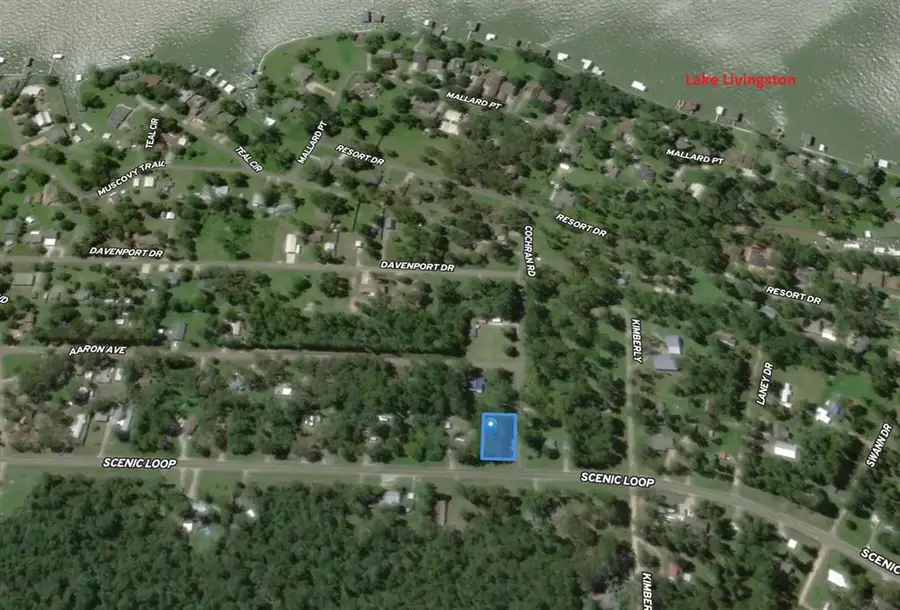 133 Ernest Cochran Road, Livingston, TX 77351 - Image #3