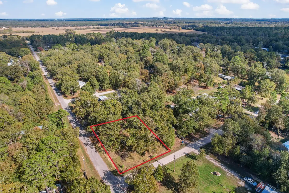 344 Wilcox Drive, Livingston, TX 77351 - Image #1