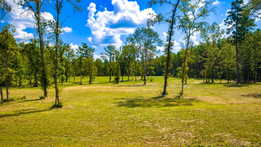 1236 Spencer 1 Road, Groveton, TX 75845 - #3