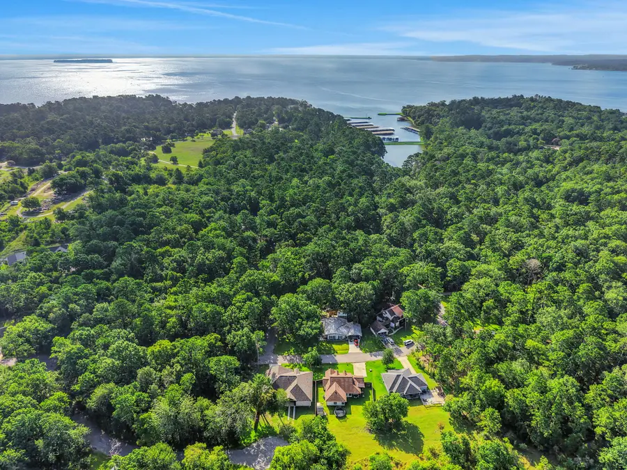 116 S Pine Harbour Drive, Coldspring, TX 77331 - #3