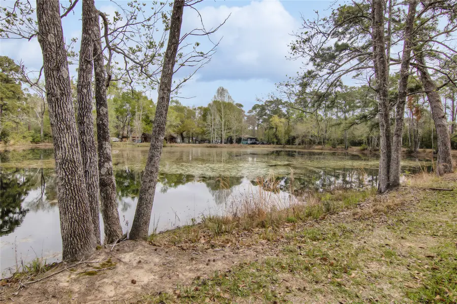 18207 Lark Lane, Conroe, TX 77384 - Image #2