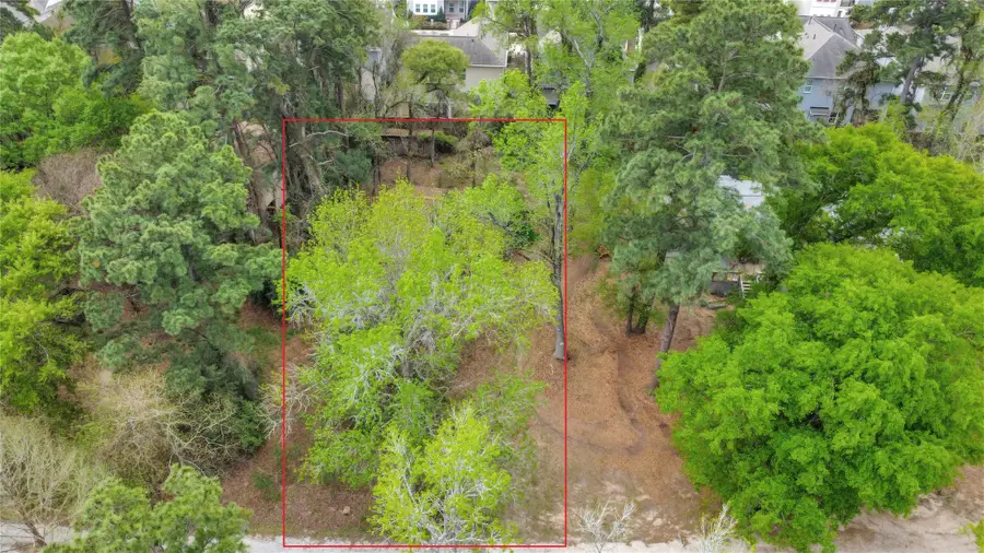 18207 Lark Lane, Conroe, TX 77384 - Image #3