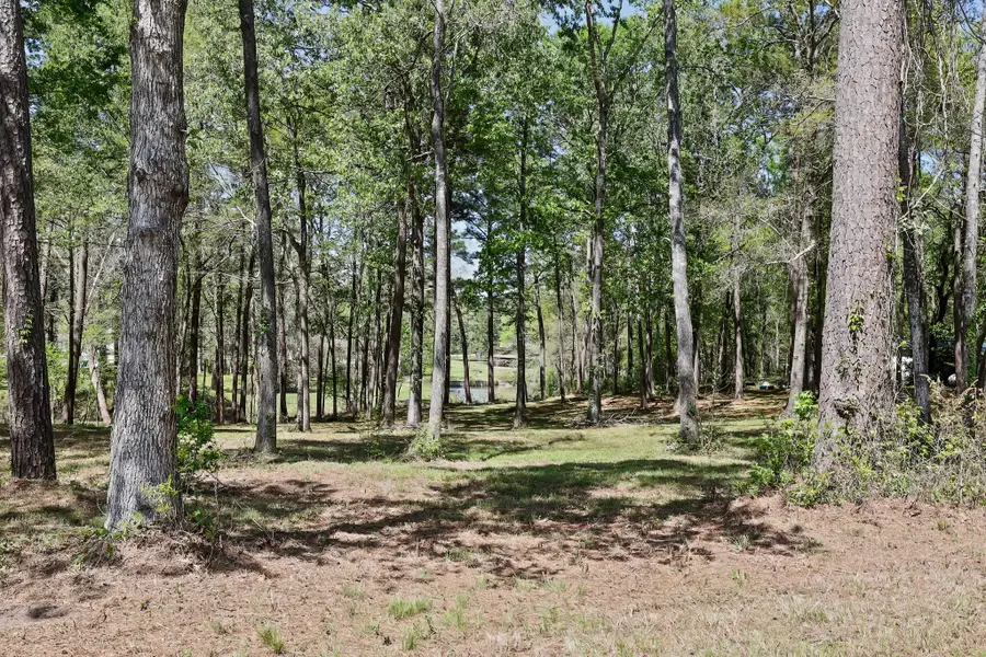 000 Harrell Cemetery Road, Coldspring, TX 77331 - #2