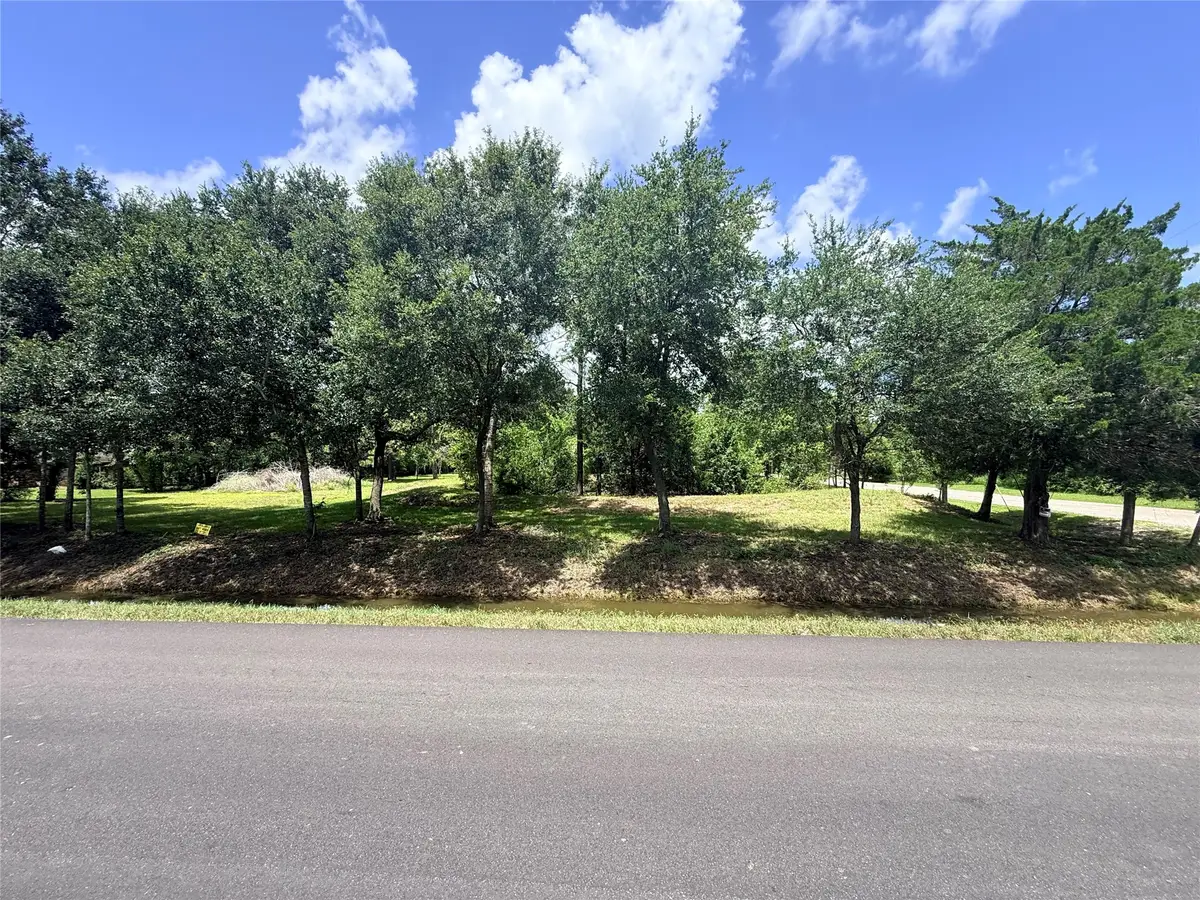 0 County Road 133, Alvin, TX 77511 - #1