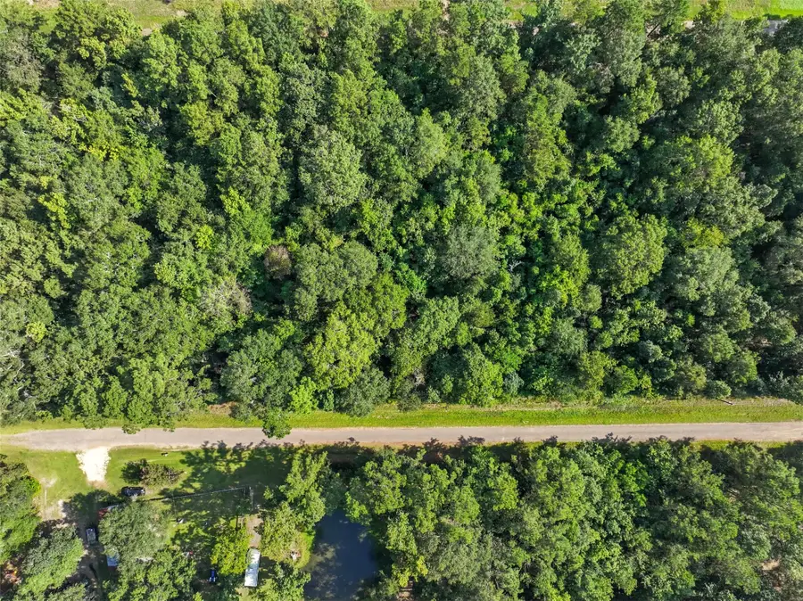 0 0 Dora Lane, Shepherd, TX 77371 - Image #2