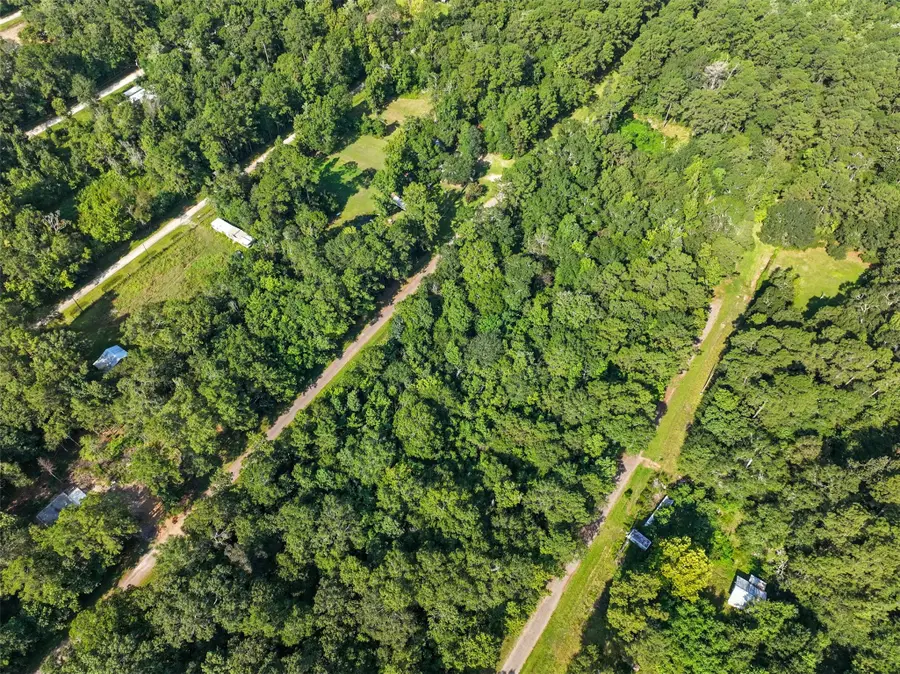 0 0 Dora Lane, Shepherd, TX 77371 - Image #3