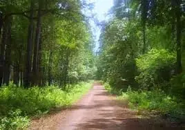 28624 Shawnee Ct, Pointblank, TX 77364 - Image #1