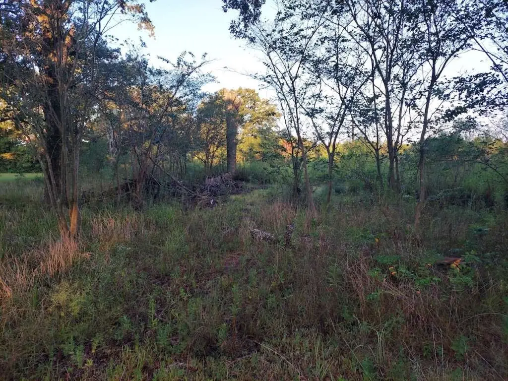 2018 County Road 4009, New Boston, TX 75570 - Image #1