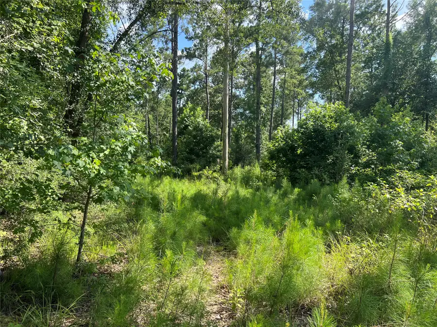 Lot 25 Rolling Pines Drive, Livingston, TX 77351 - #2
