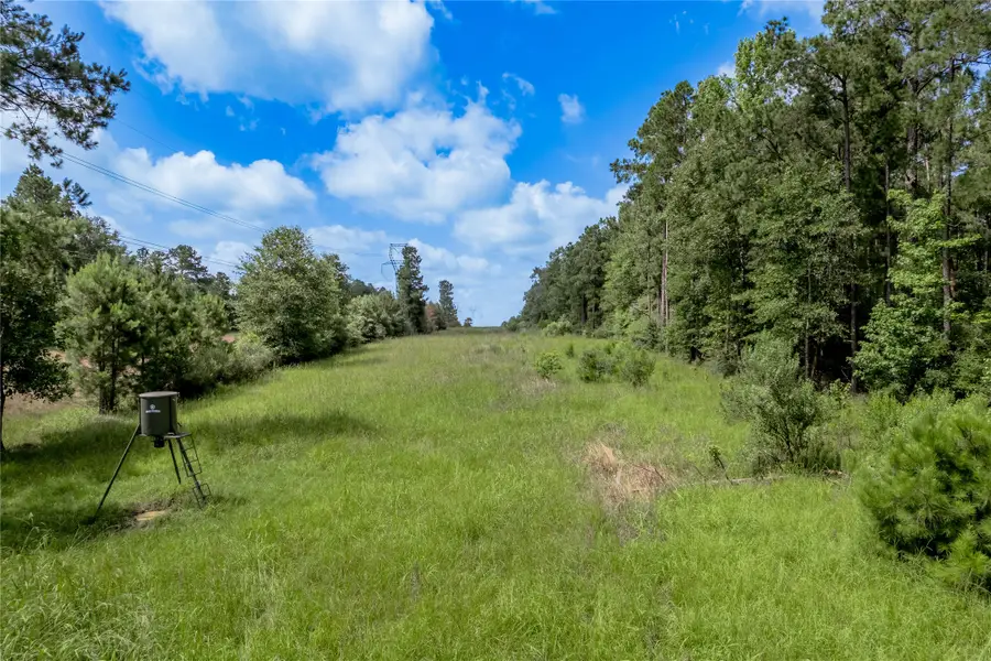 594 County Road 3540, Lovelady, TX 75851 - Image #3